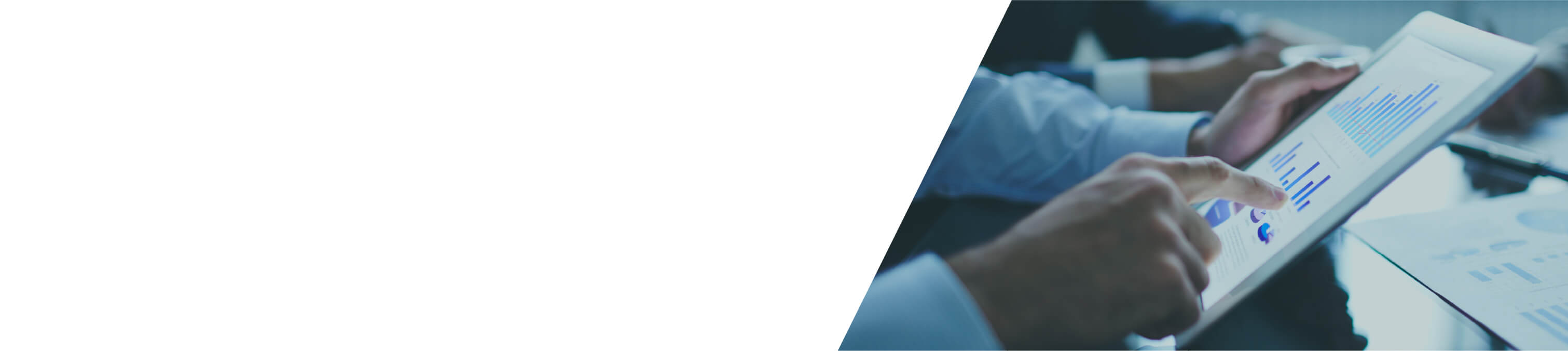 セールスプロモーション事業