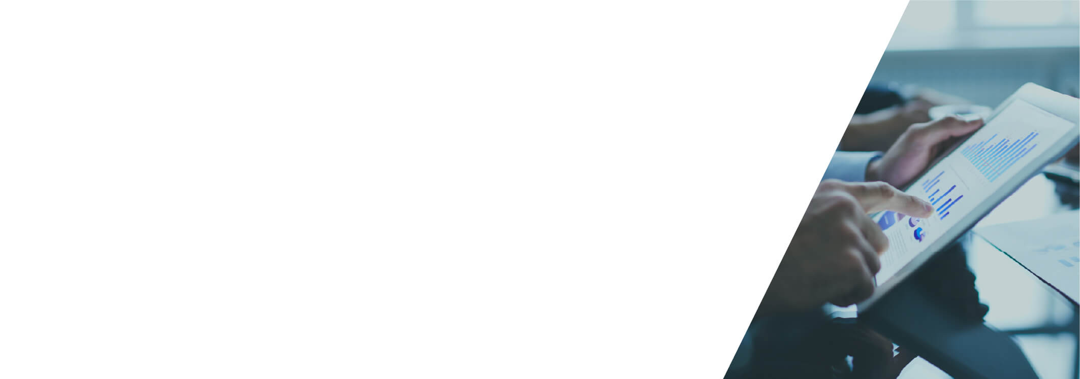 セールスプロモーション事業